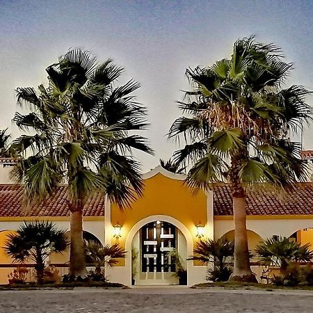 Herdade Da Diabroria - Agroturismo 贝雅区 外观 照片