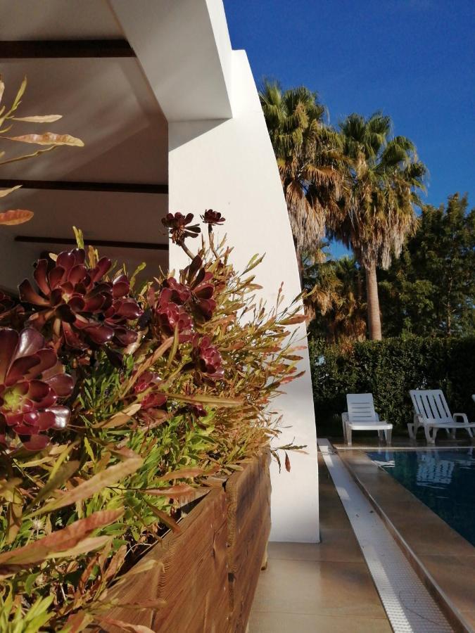 Herdade Da Diabroria - Agroturismo 贝雅区 外观 照片