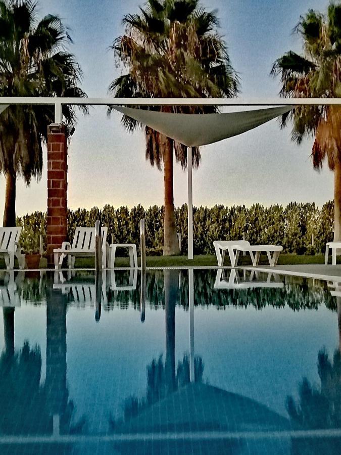 Herdade Da Diabroria - Agroturismo 贝雅区 外观 照片